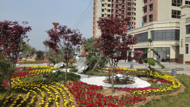 实景图 