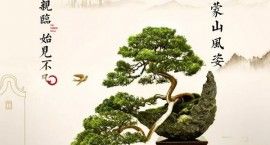 庭前绿意，辉映蒙山风姿 | 颐养蒙山墅，首选桃花源