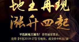 地王再现，涨声四起--平邑新地王诞生！成交价446万/亩！