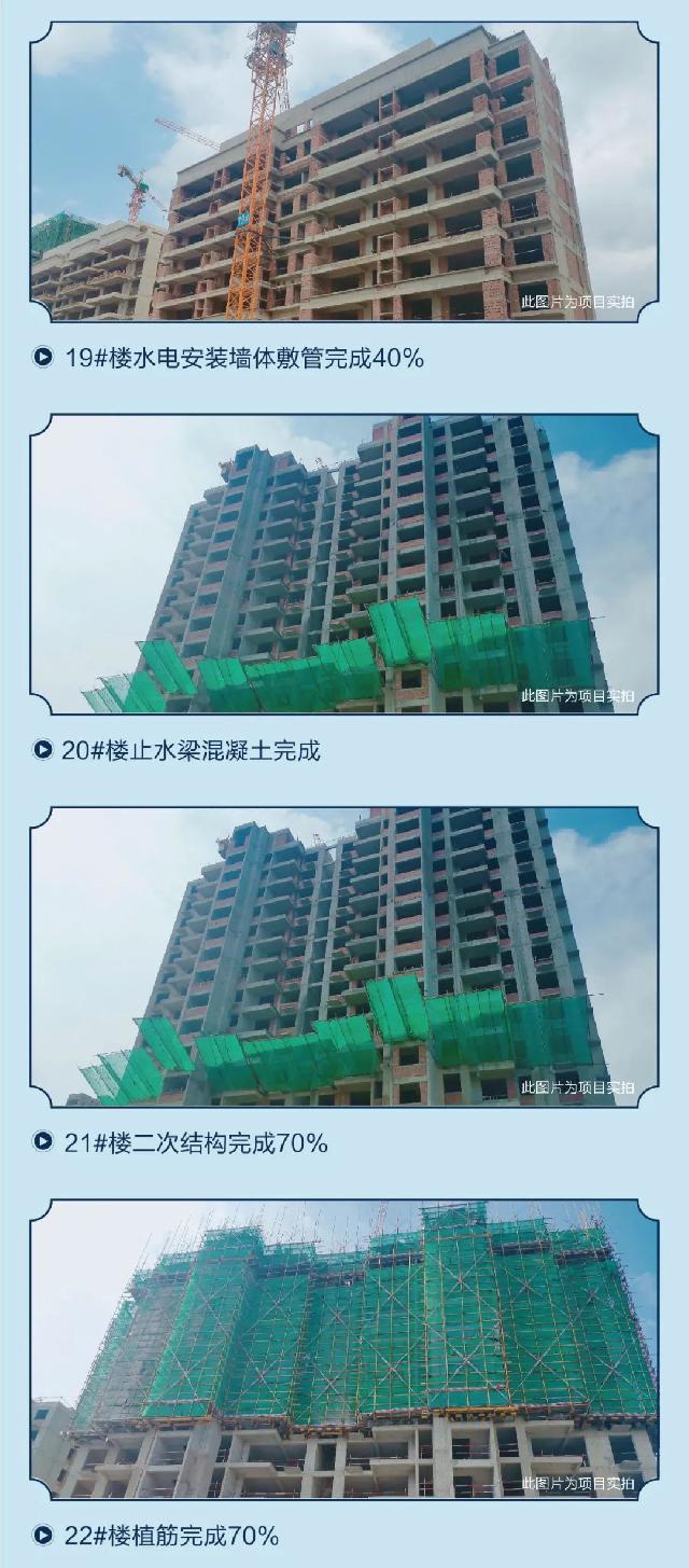 金邑尚府|蝉鸣知盛夏 七月家书至 请您查收