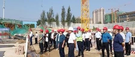 十一假期，九巨龙集团董事长徐夫京携集团各部门、各分公司主要负责人巡检平邑区域项目