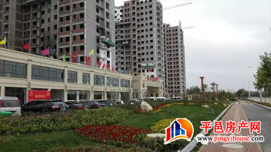 让平邑大吃一“金” ——邑东福邸百万金条免费送全城