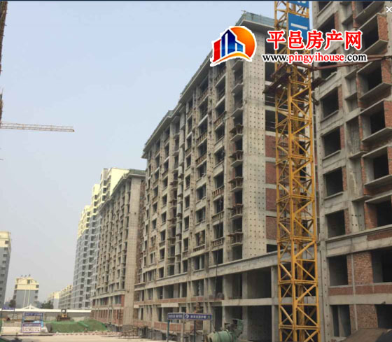 临沂市三区九县建设局代表团莅临汇金湾视察指导