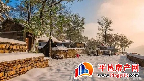 平邑：聚力打造“沂蒙花海” 品牌撬动全域旅游全面发力