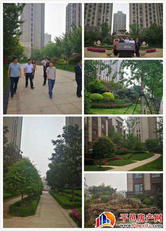 金桥置业总经理张凯一行赴临沂实地考察四大项目景观及物业管理
