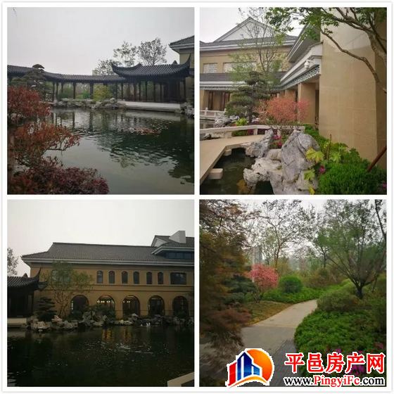 金桥置业总经理张凯一行赴临沂实地考察四大项目景观及物业管理