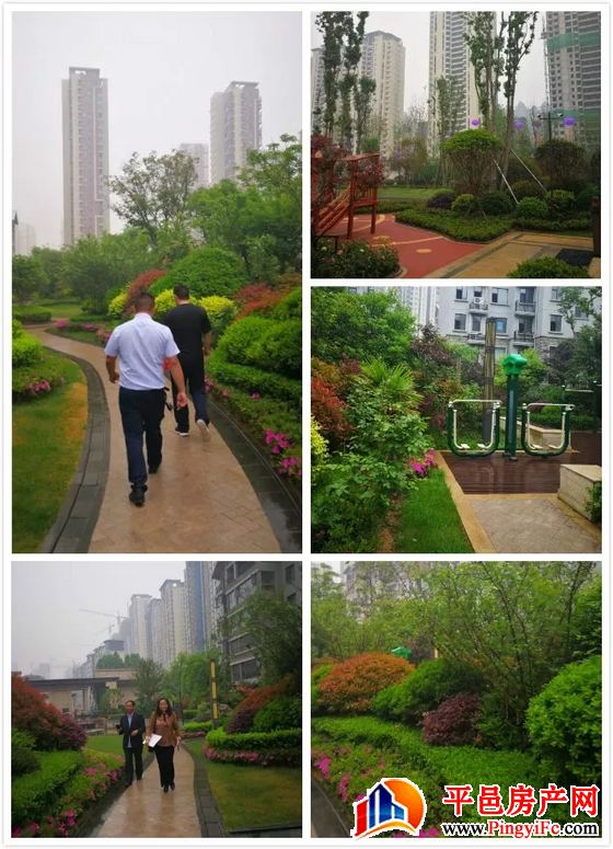 金桥置业总经理张凯一行赴临沂实地考察四大项目景观及物业管理