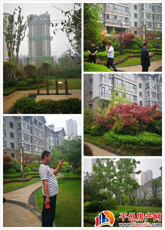 金桥置业总经理张凯一行赴临沂实地考察四大项目景观及物业管理