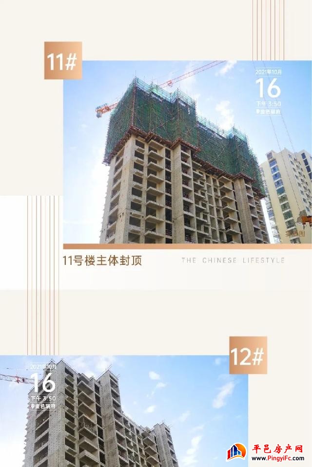 金邑瑞府十月家书|步履不停，只为与您幸福相见