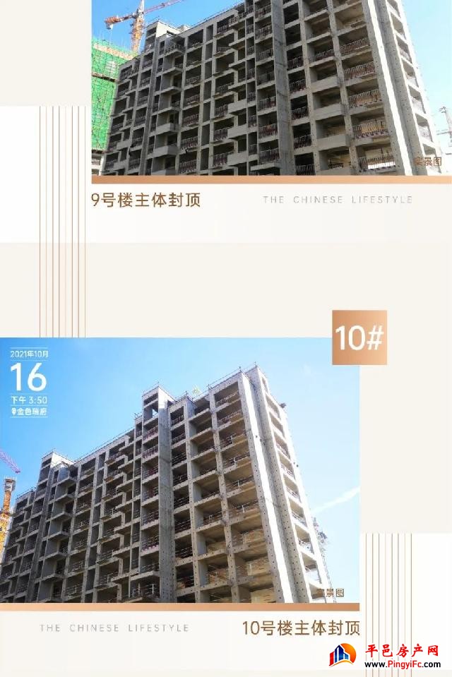金邑瑞府十月家书|步履不停，只为与您幸福相见