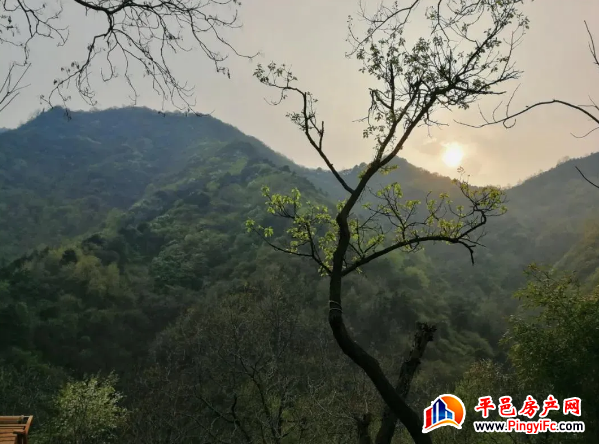 好房不等待，早买早幸福！蓝钻壹品清盘特惠进行中~