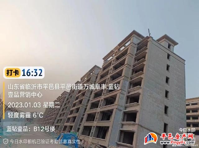 蓝钻壹品一月家书丨新岁启华章，美好家音至
