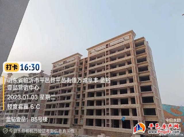 蓝钻壹品一月家书丨新岁启华章，美好家音至
