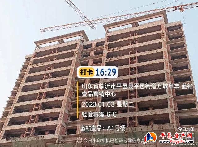 蓝钻壹品一月家书丨新岁启华章，美好家音至