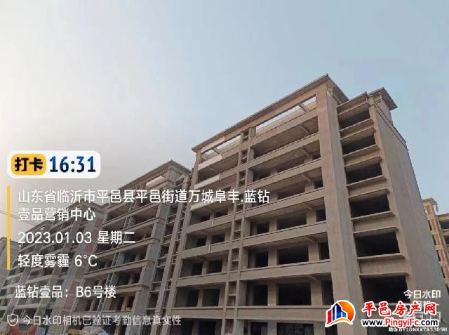蓝钻壹品一月家书丨新岁启华章，美好家音至