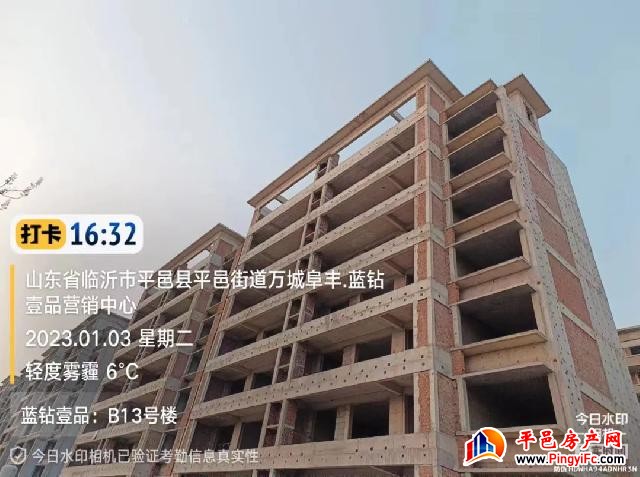 蓝钻壹品一月家书丨新岁启华章，美好家音至