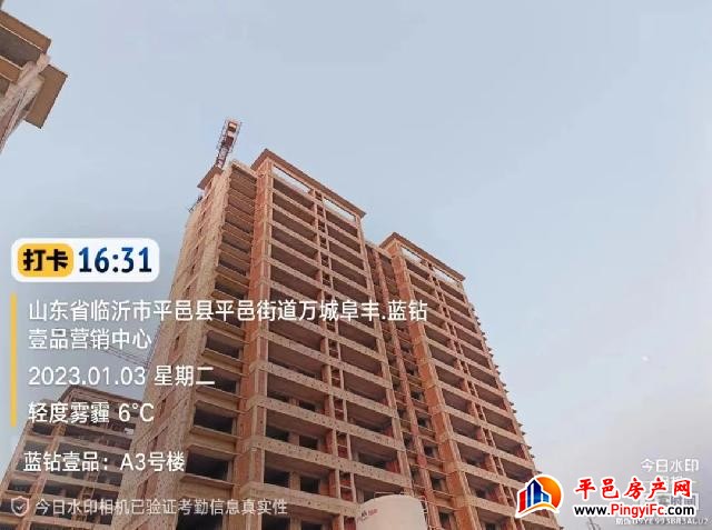蓝钻壹品一月家书丨新岁启华章，美好家音至