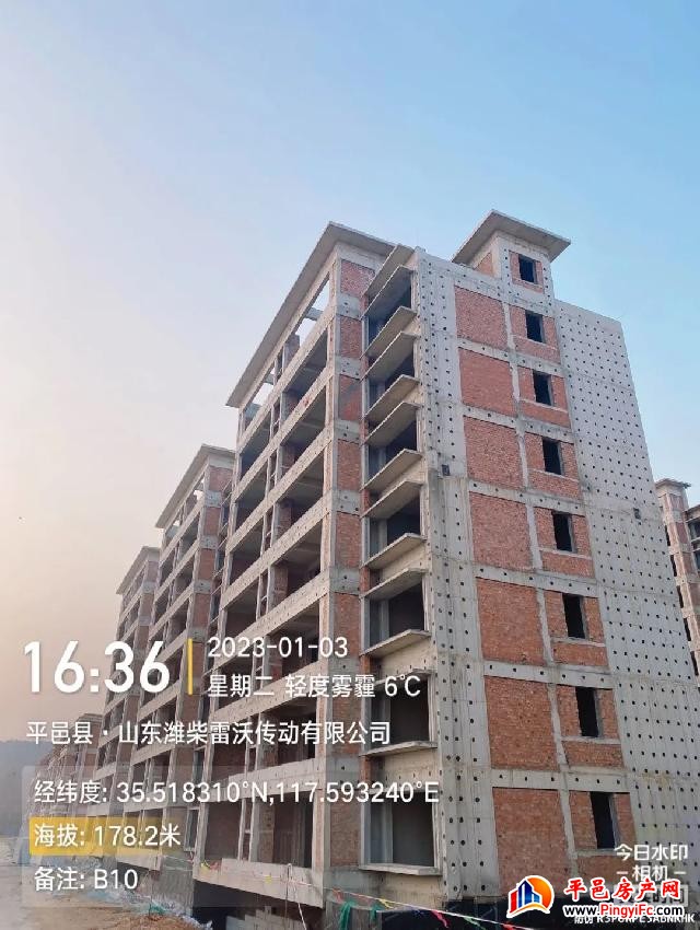 蓝钻壹品一月家书丨新岁启华章，美好家音至