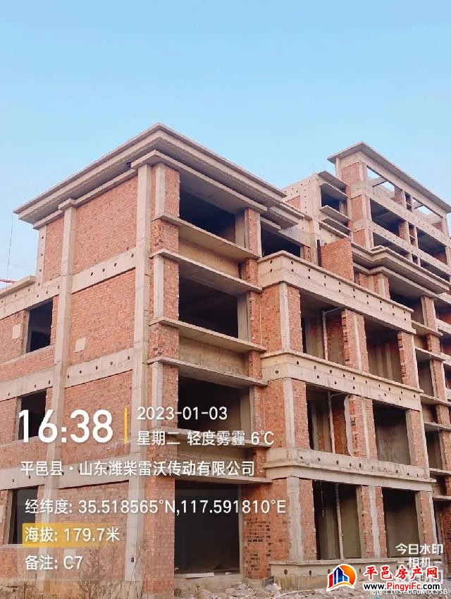 蓝钻壹品一月家书丨新岁启华章，美好家音至