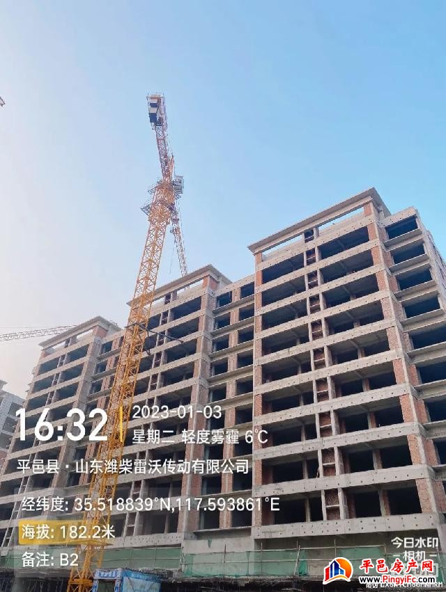 蓝钻壹品一月家书丨新岁启华章，美好家音至