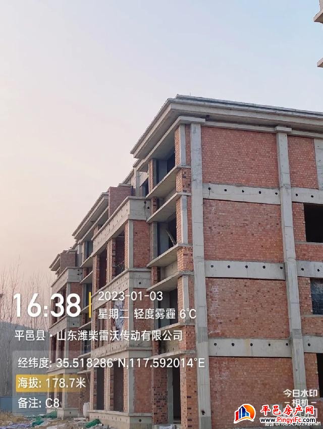 蓝钻壹品一月家书丨新岁启华章，美好家音至