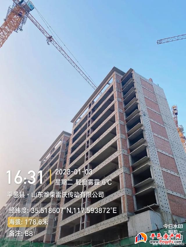 蓝钻壹品一月家书丨新岁启华章，美好家音至