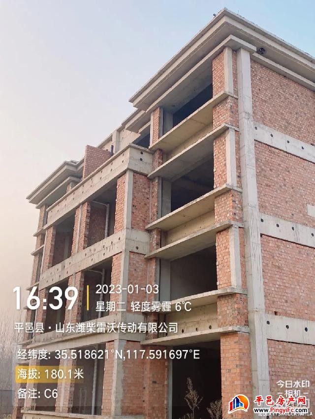 蓝钻壹品一月家书丨新岁启华章，美好家音至