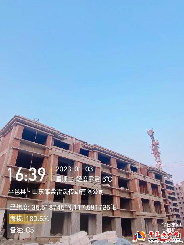 蓝钻壹品一月家书丨新岁启华章，美好家音至