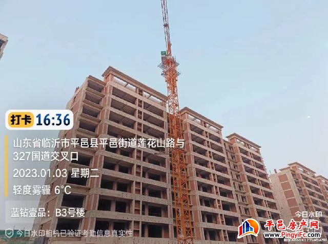 蓝钻壹品一月家书丨新岁启华章，美好家音至