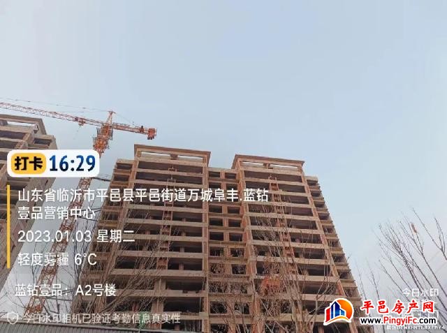 蓝钻壹品一月家书丨新岁启华章，美好家音至
