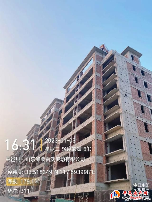 蓝钻壹品一月家书丨新岁启华章，美好家音至