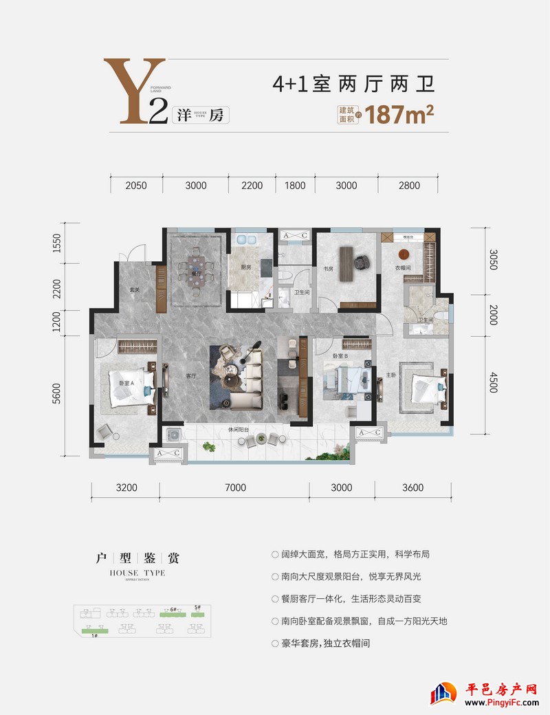 洋房187户型