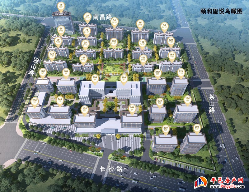 鸟瞰图 
