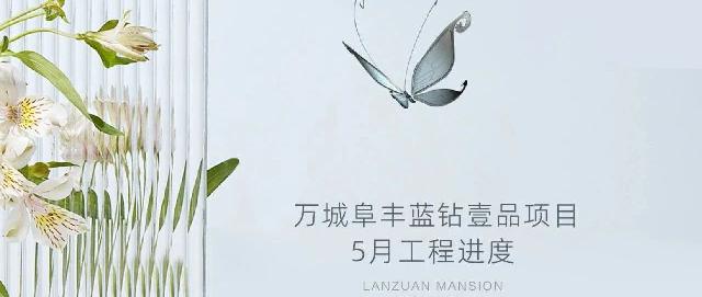 万城家讯｜万城阜丰蓝钻壹品项目5月工程进度